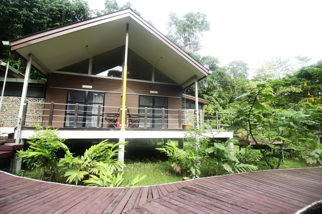 Mulu National Park Hotel Екстериор снимка