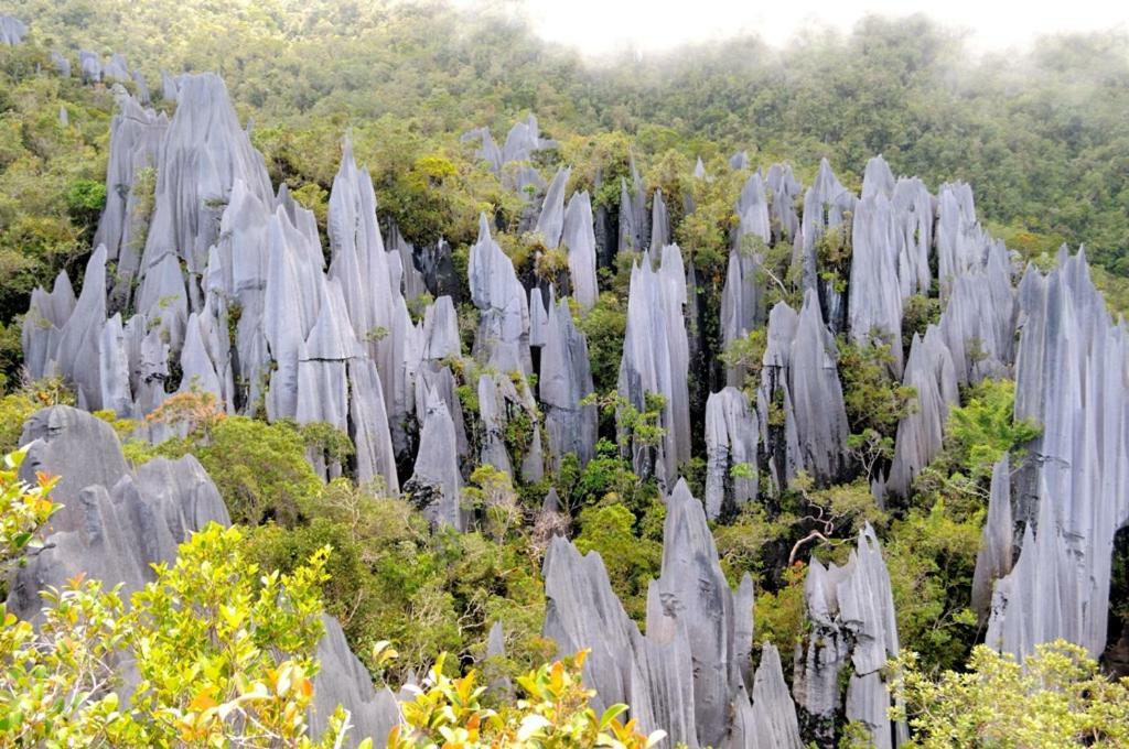 Mulu National Park Hotel Екстериор снимка