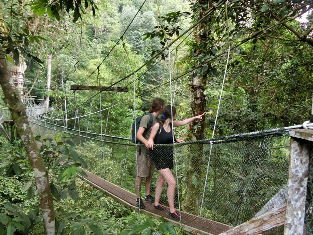 Mulu National Park Hotel Екстериор снимка
