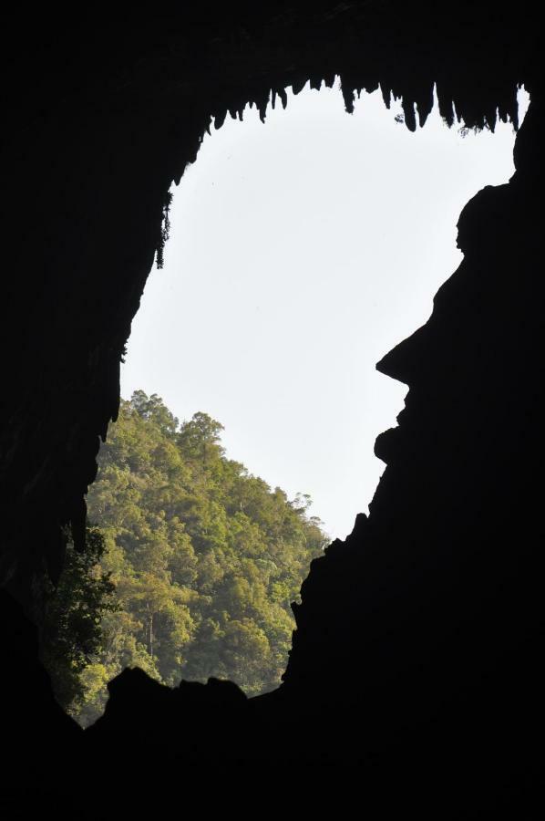Mulu National Park Hotel Екстериор снимка